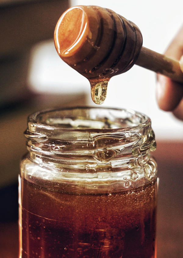 Mango Flower Honey - Image 2